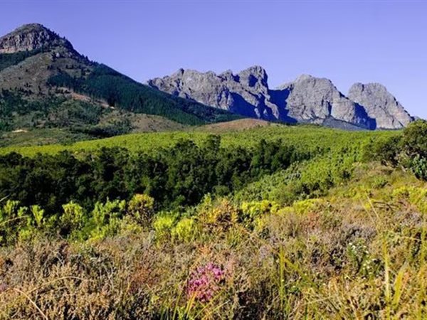 1 ha Land available in Paarl