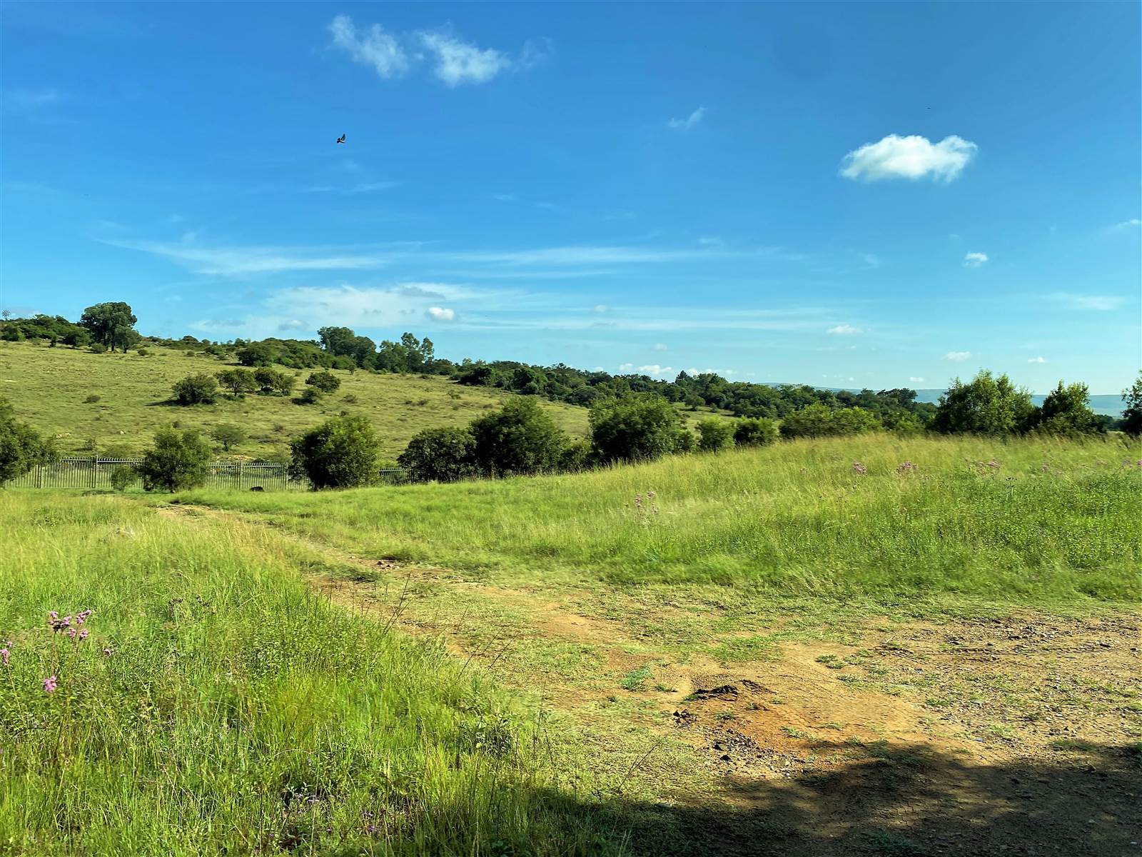 1537 m² Land available in Copperleaf photo number 13