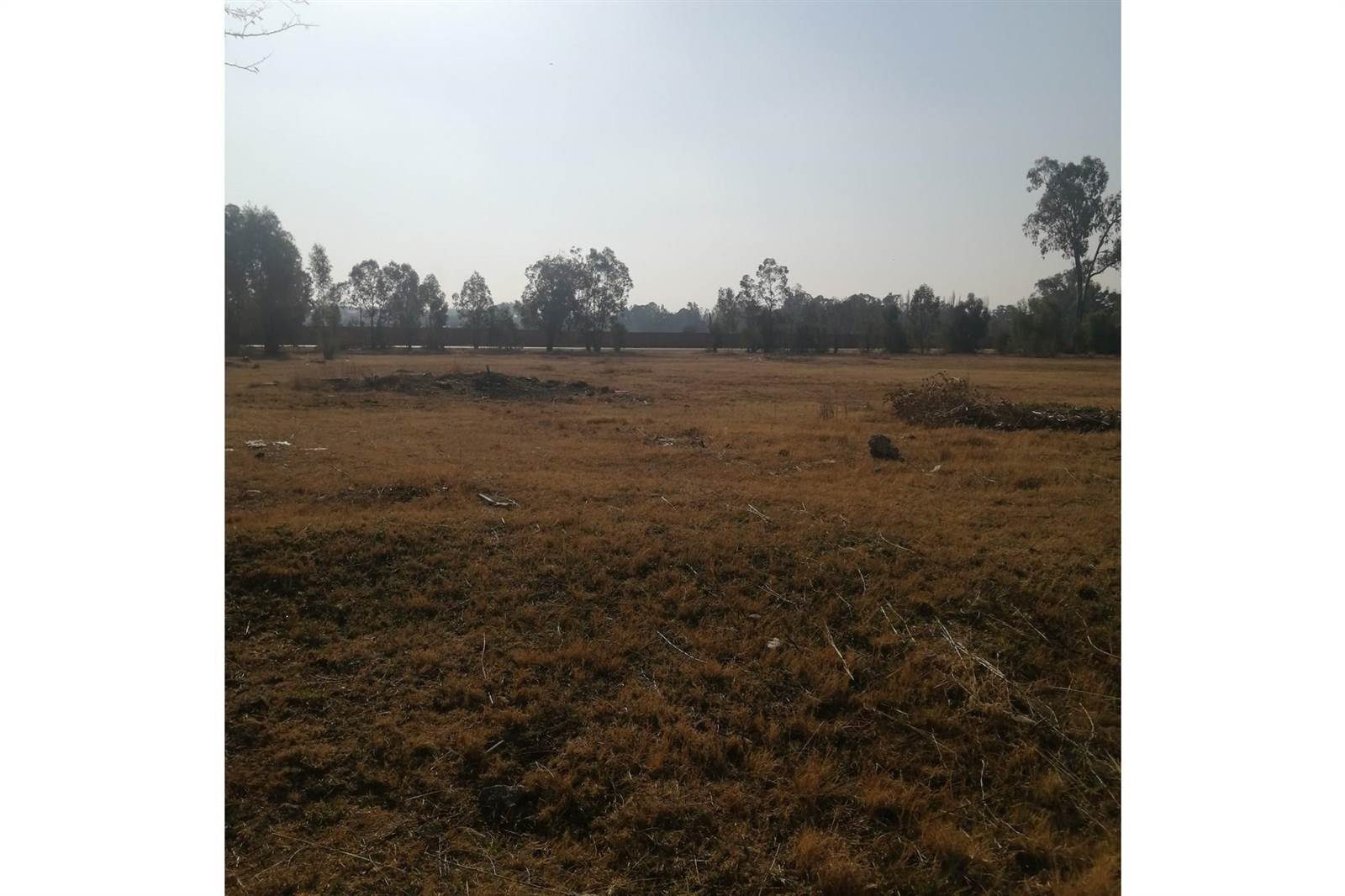 1.5 ha Land available in Riversdale photo number 4