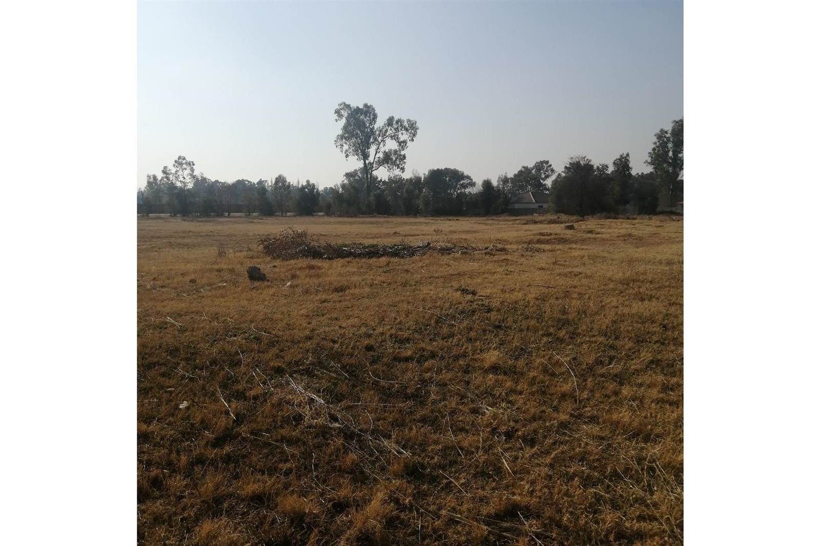 1.5 ha Land available in Riversdale photo number 3