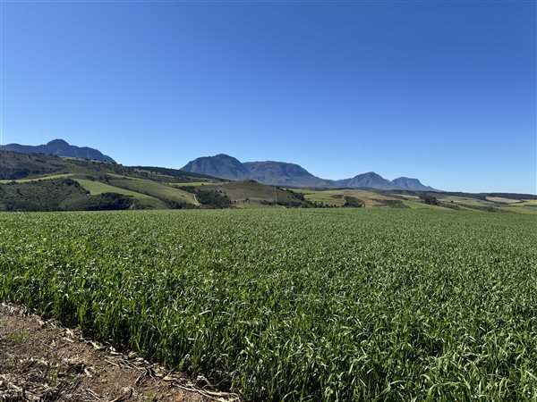 342 ha Farm 342 ha Farm