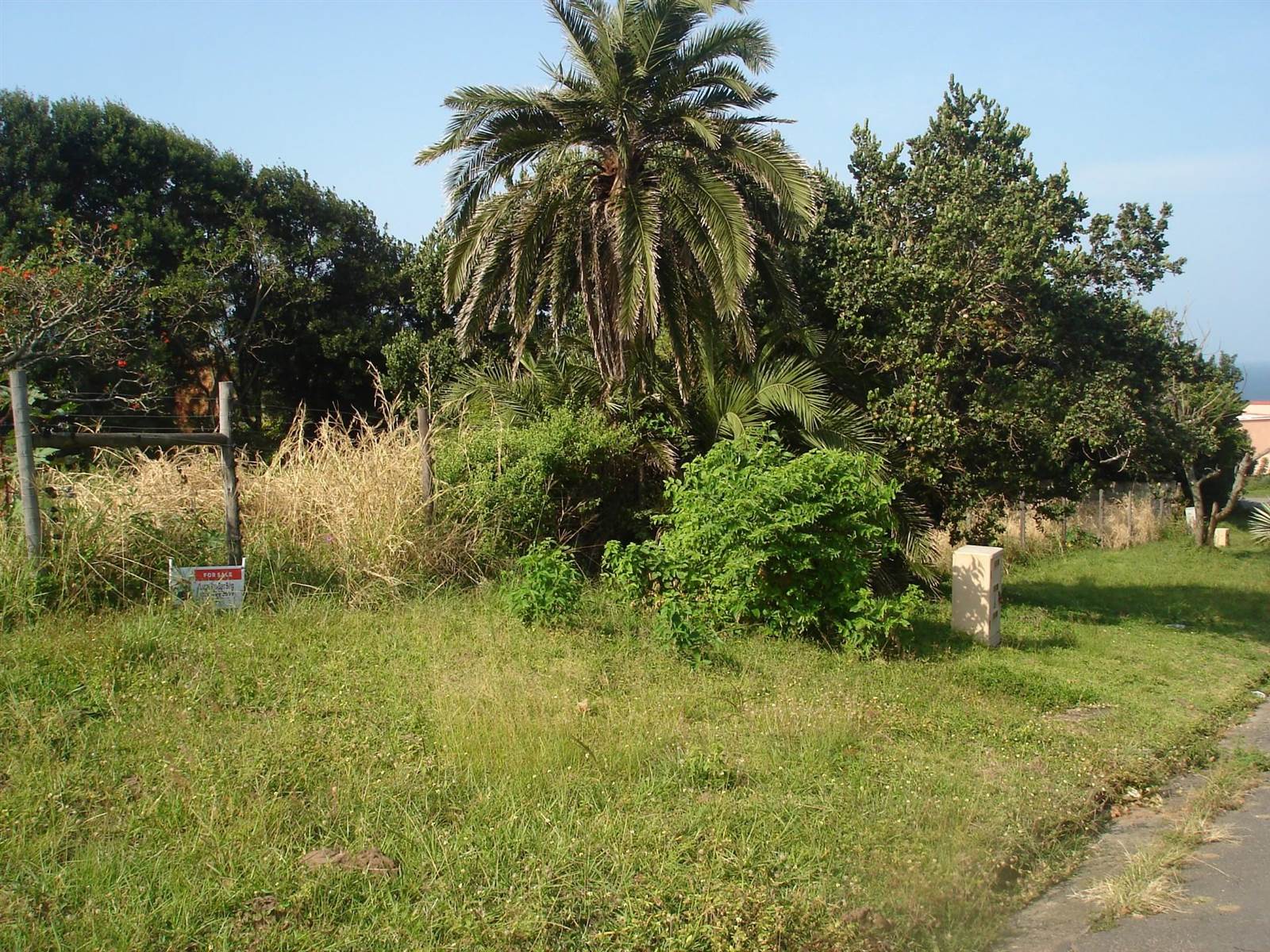 1524 m² Land available in Woodgrange photo number 4