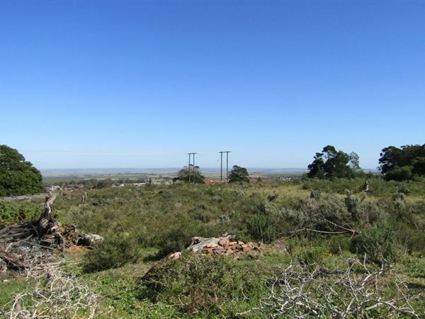 1.5 ha Land available in Humansdorp