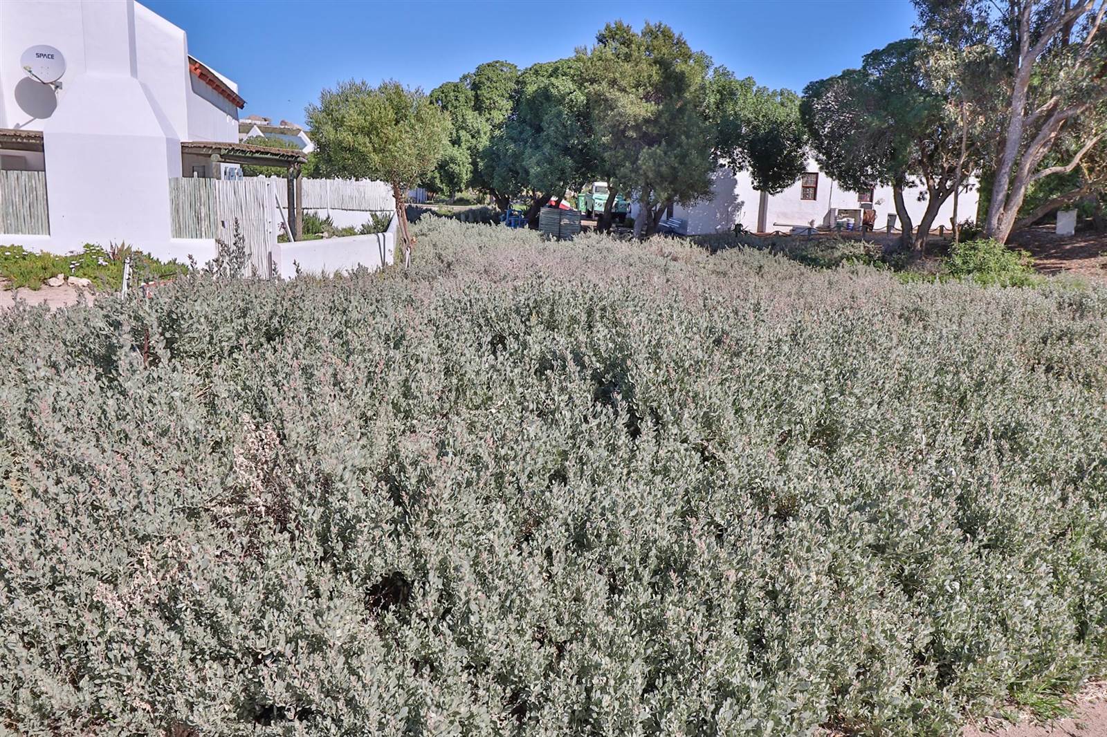 339 m² Land available in Paternoster photo number 6