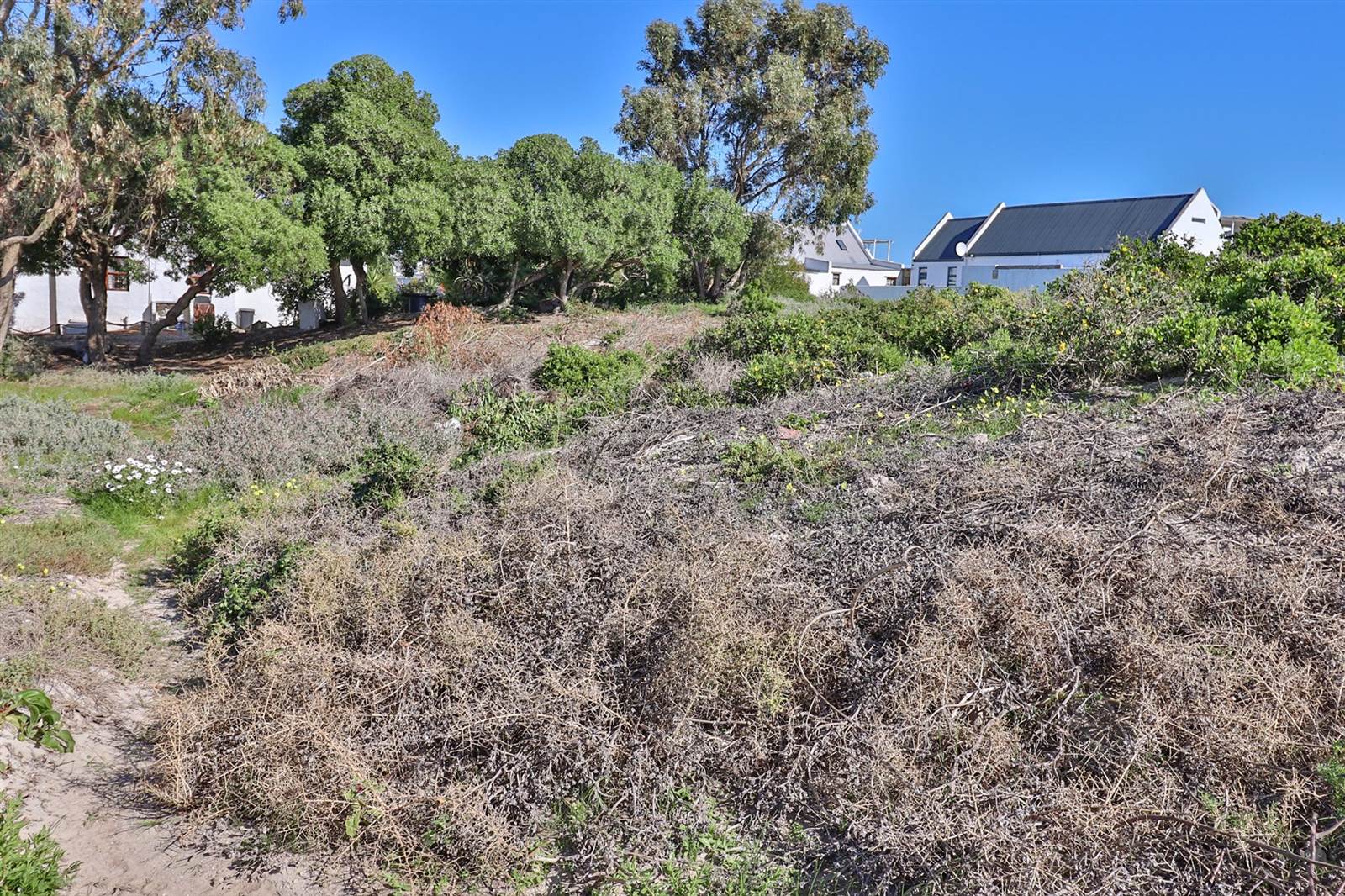 339 m² Land available in Paternoster photo number 13