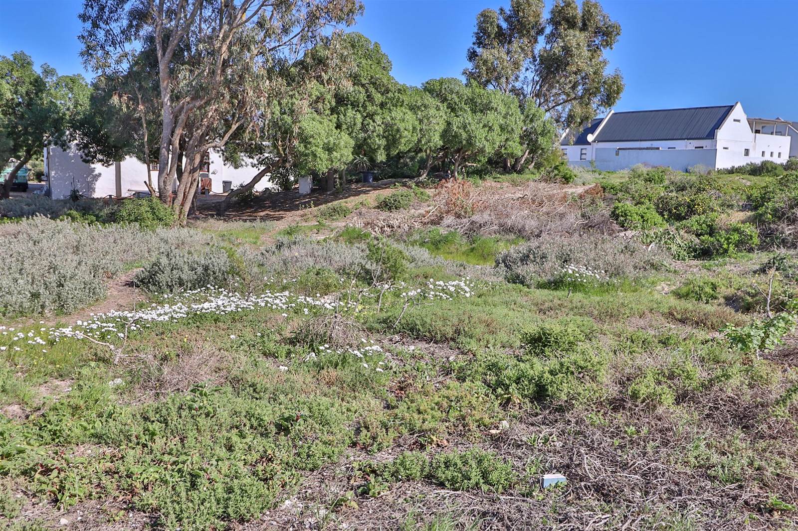 339 m² Land available in Paternoster photo number 14