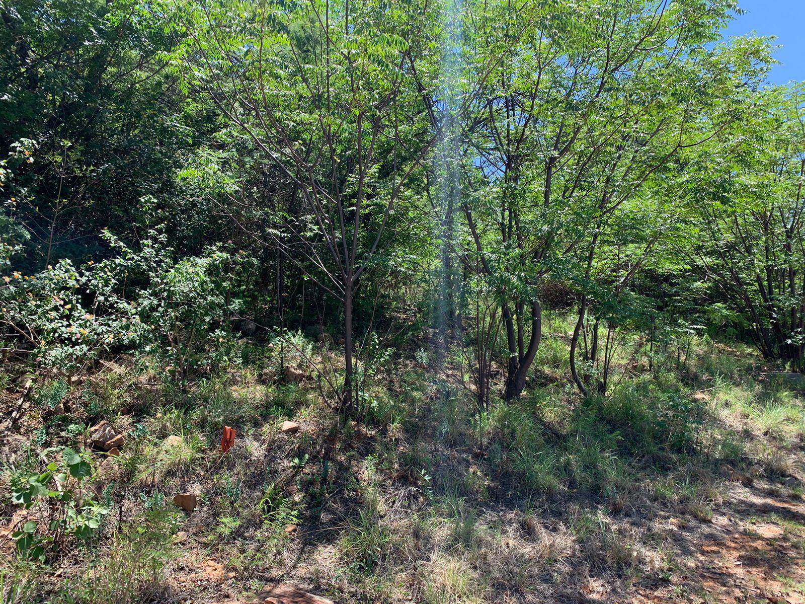 1015 m² Land available in Kosmos photo number 2