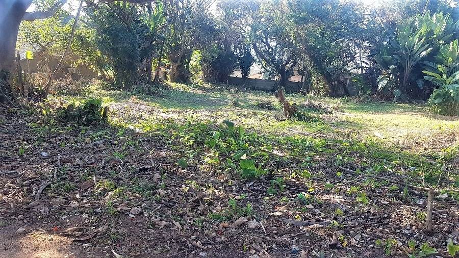 1161 m² Land available in Woodgrange photo number 9