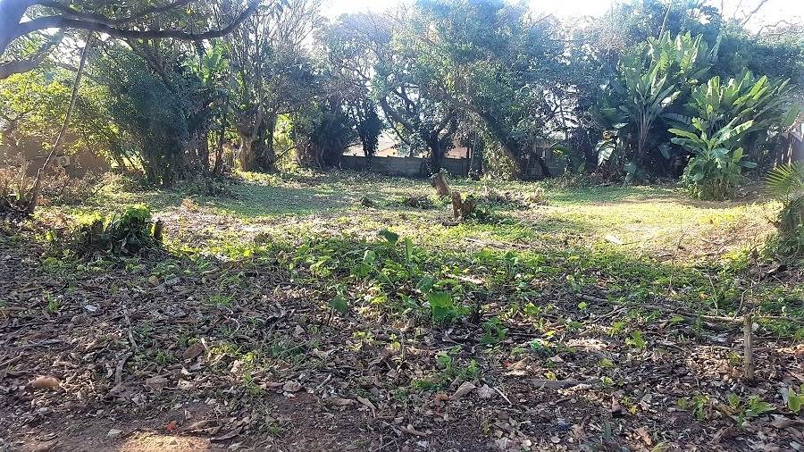 1161 m² Land available in Woodgrange photo number 4