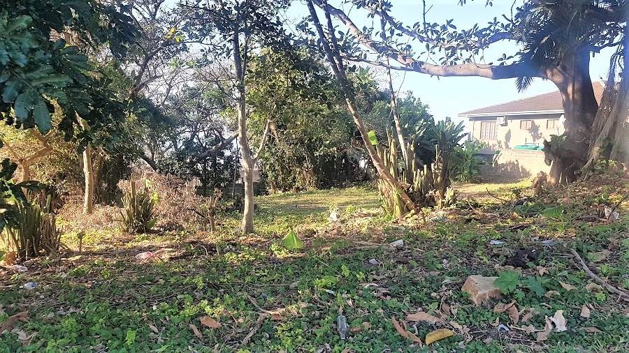 1161 m² Land available in Woodgrange photo number 5