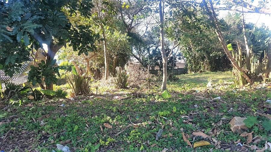 1161 m² Land available in Woodgrange photo number 6