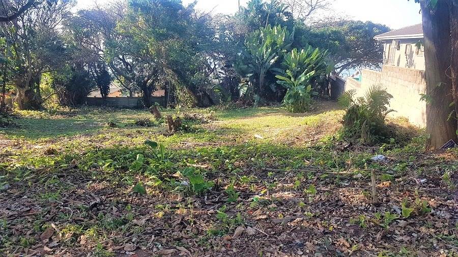 1161 m² Land available in Woodgrange photo number 2