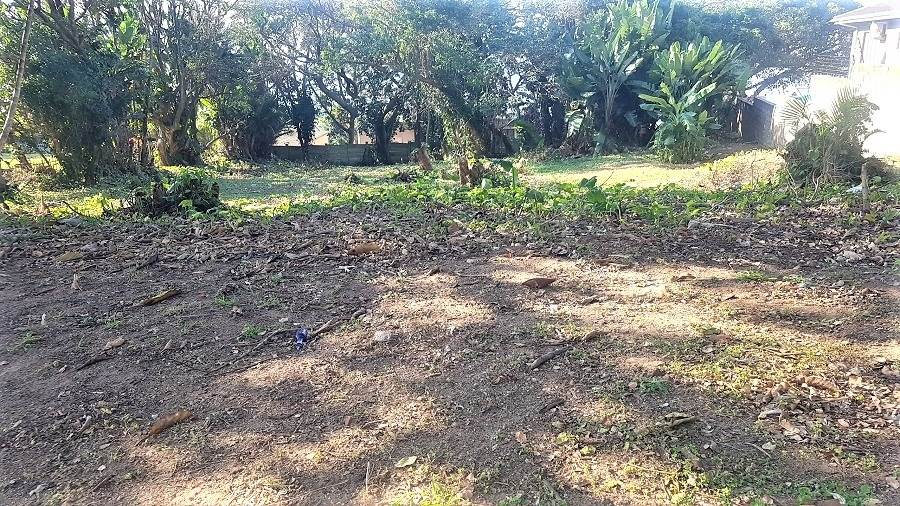 1161 m² Land available in Woodgrange photo number 10