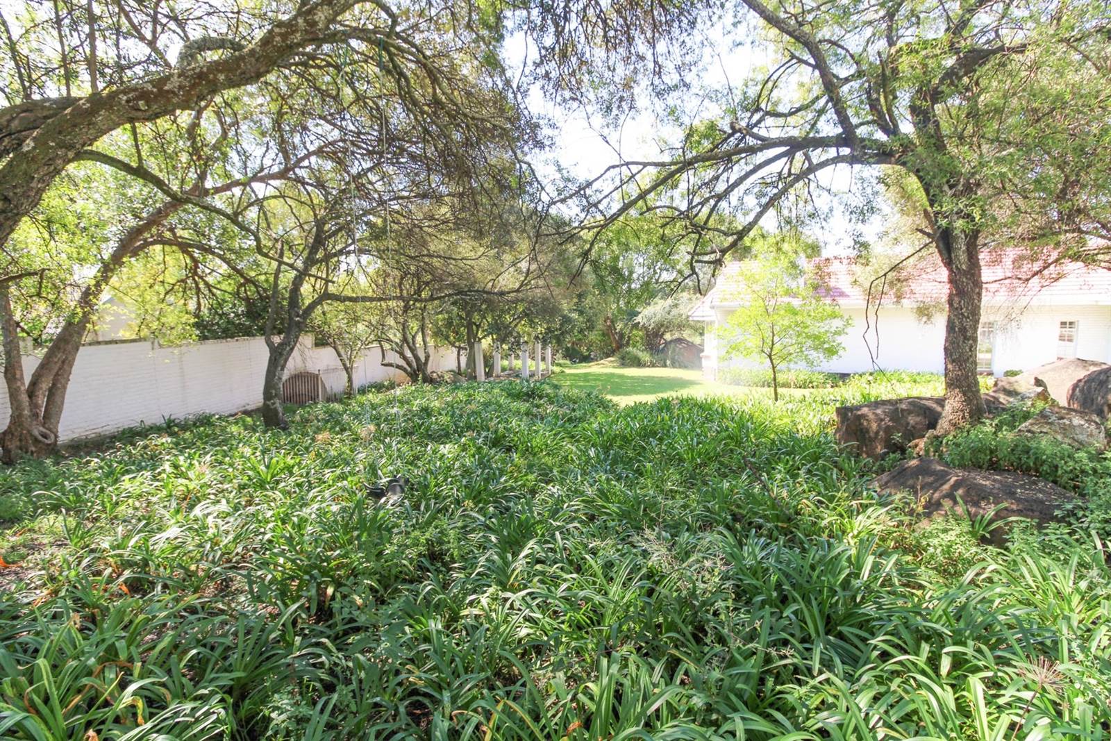 3966 m² Land available in Rivonia photo number 9