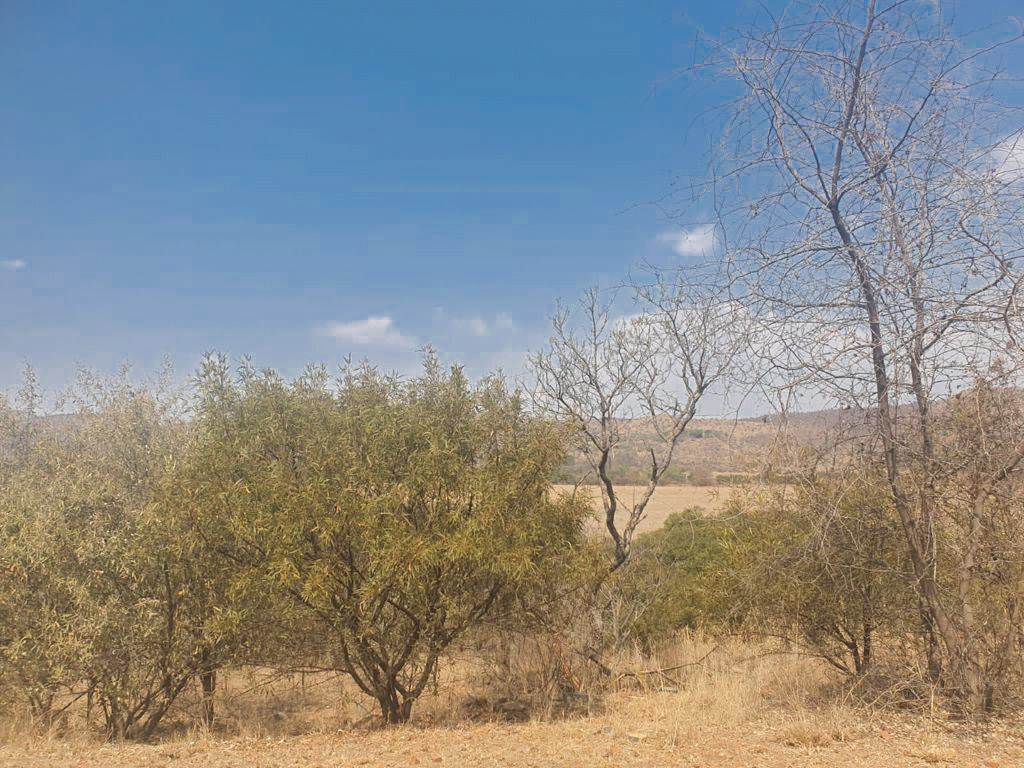 4175 m² Land available in Xanadu photo number 7