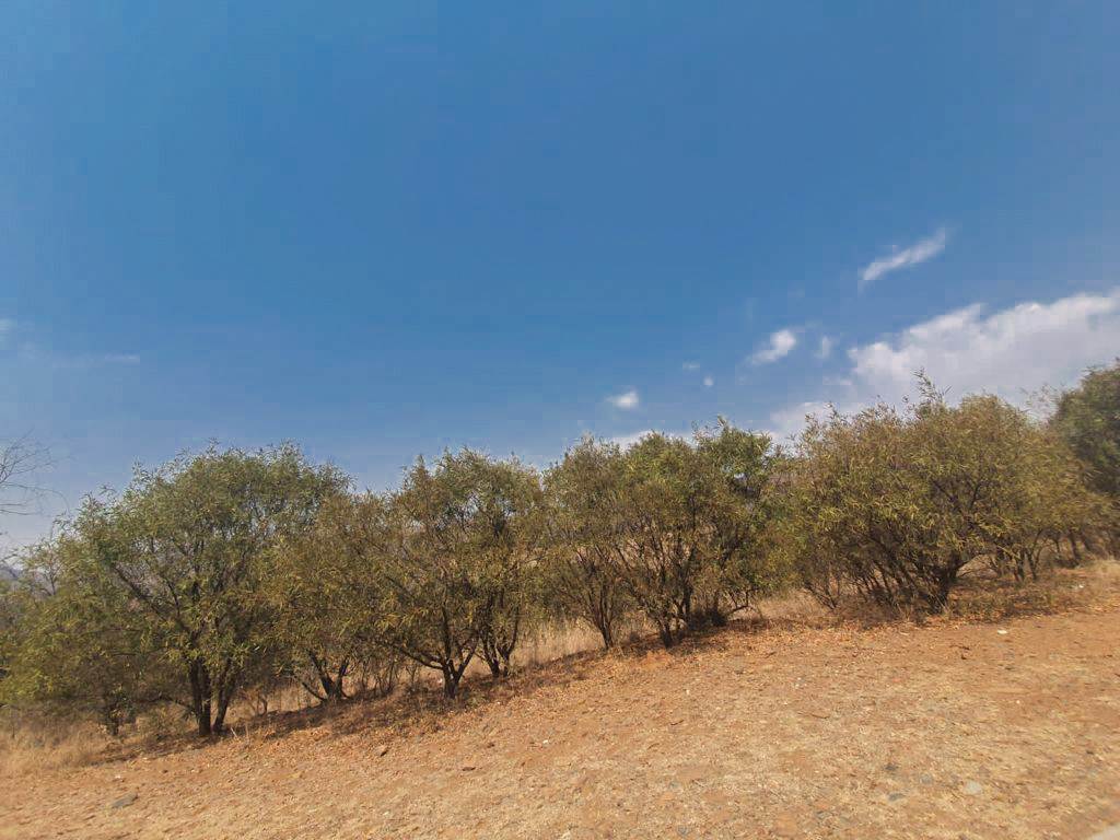 4175 m² Land available in Xanadu photo number 1