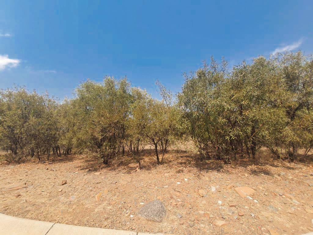 4175 m² Land available in Xanadu photo number 5