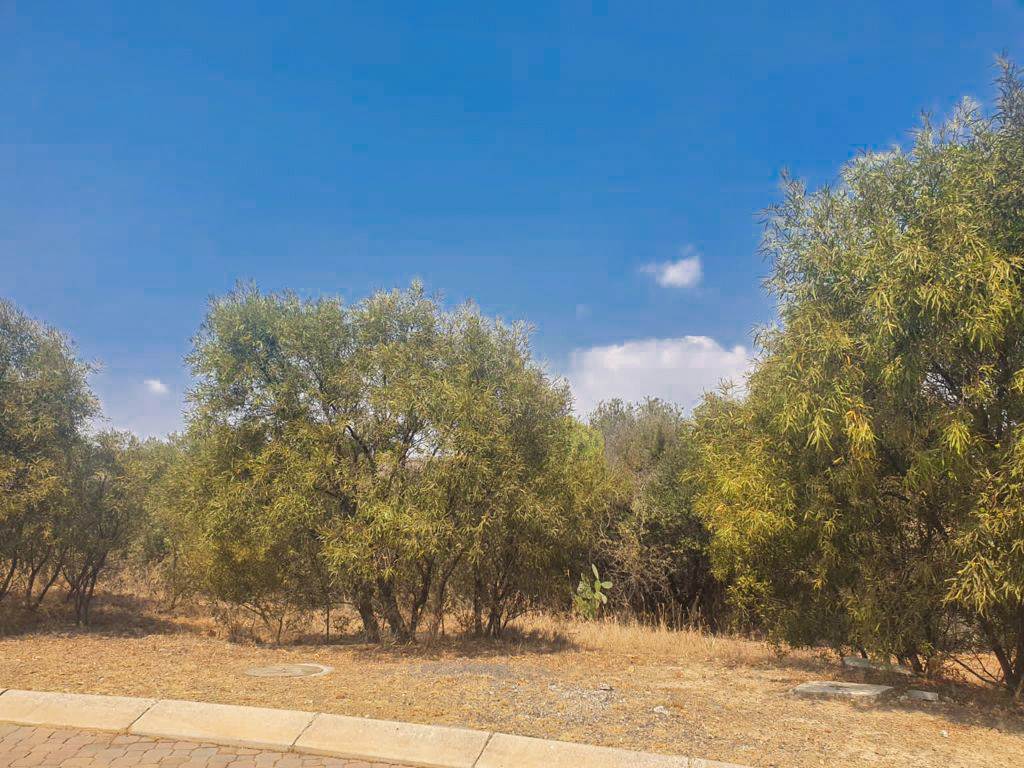 4175 m² Land available in Xanadu photo number 9