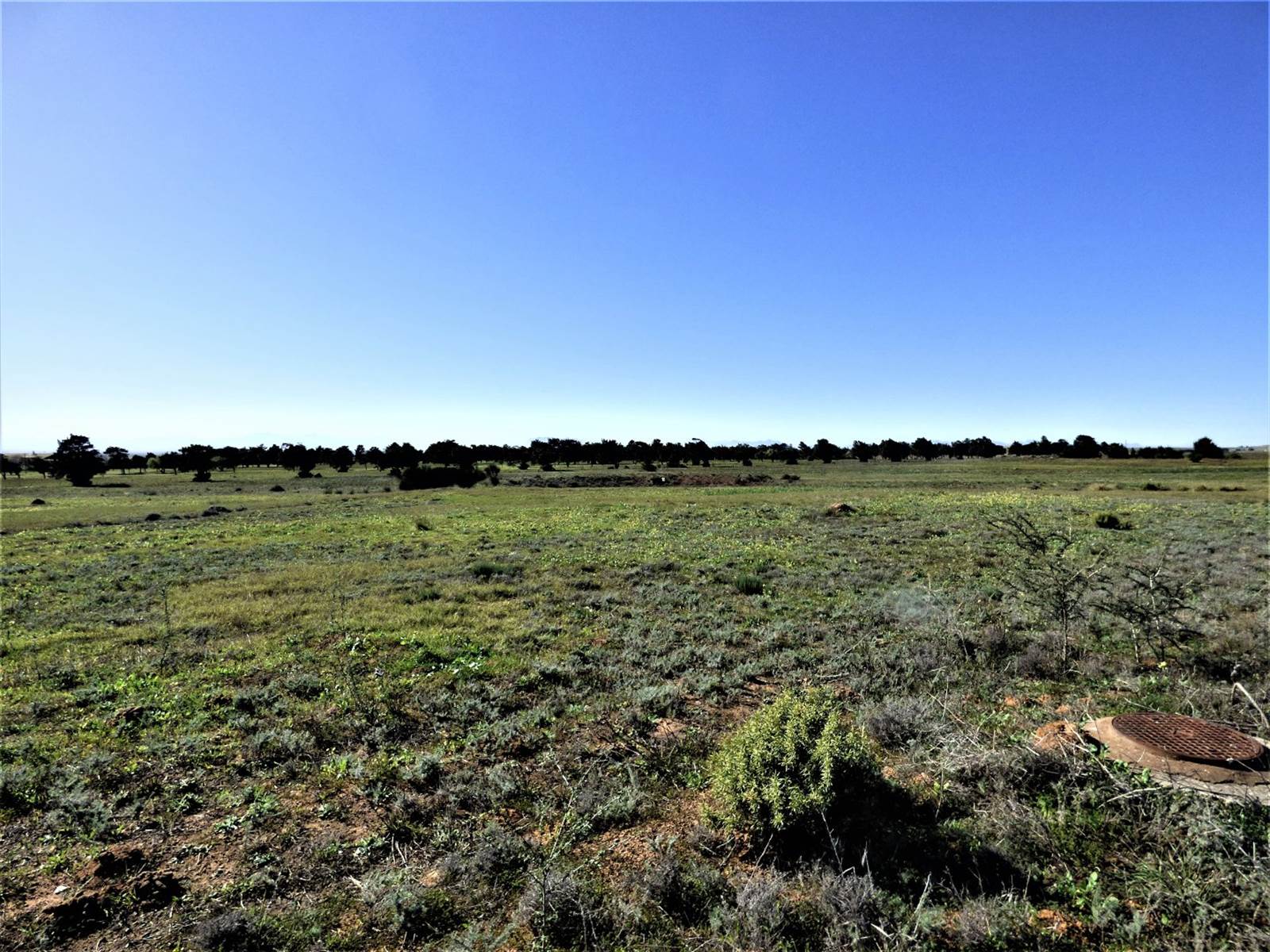 933 m² Land available in Darling photo number 6