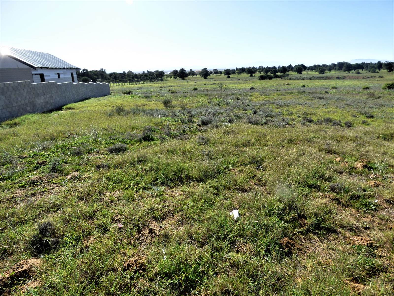 933 m² Land available in Darling photo number 4