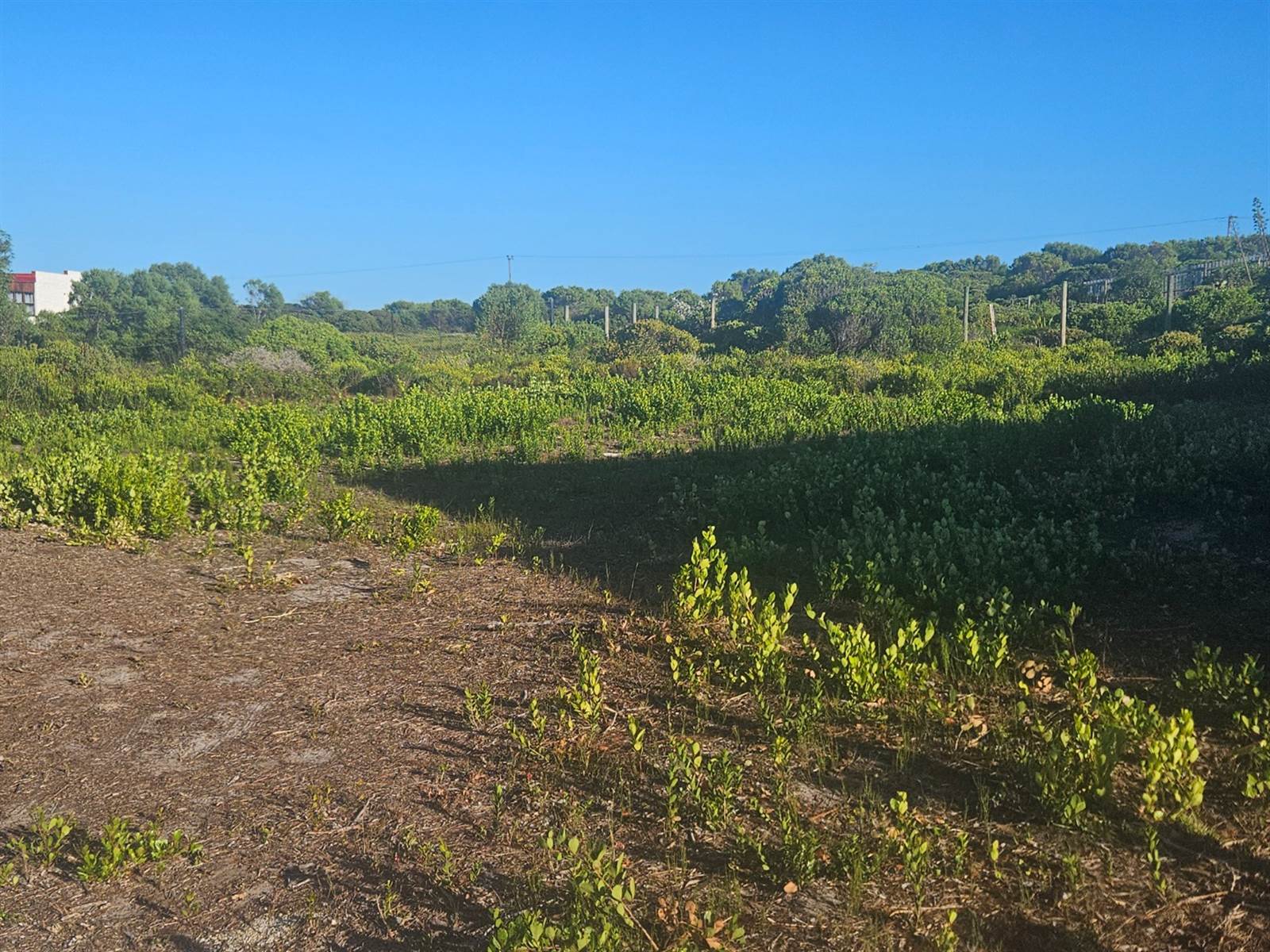 892 m² Land available in Pearly Beach photo number 4