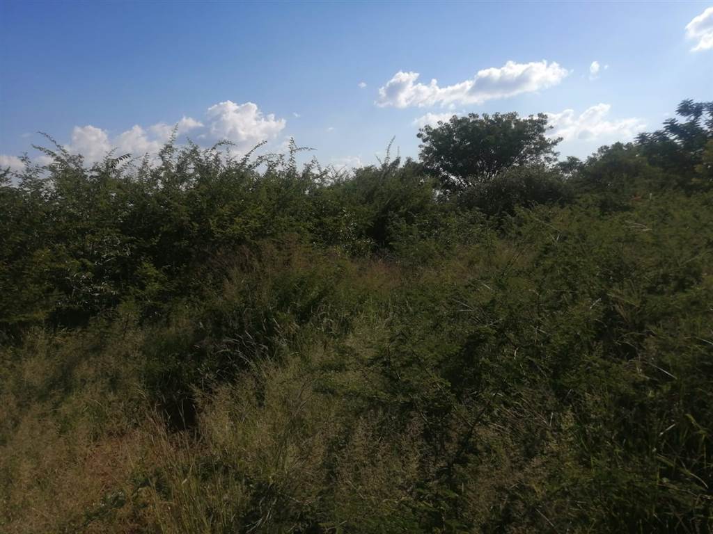 497 m² Land available in Lebowakgomo photo number 3