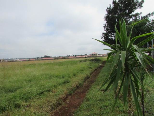 20 ha Land available in Rand Collieries photo number 7