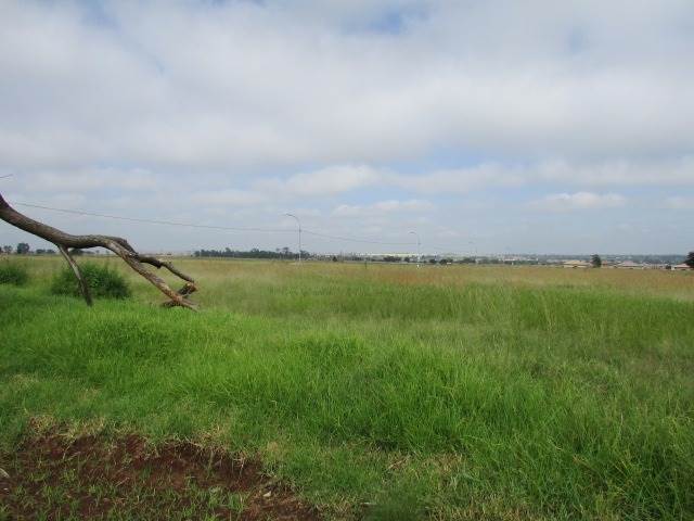 20 ha Land available in Rand Collieries photo number 9