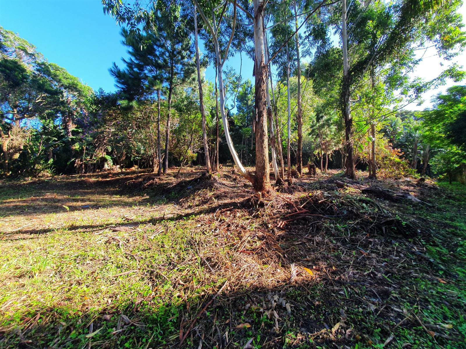 1032 m² Land available in Leisure Bay photo number 1