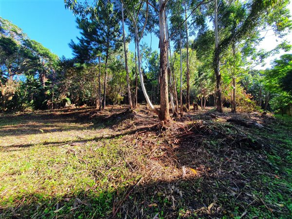 1032 m² Land available in Leisure Bay