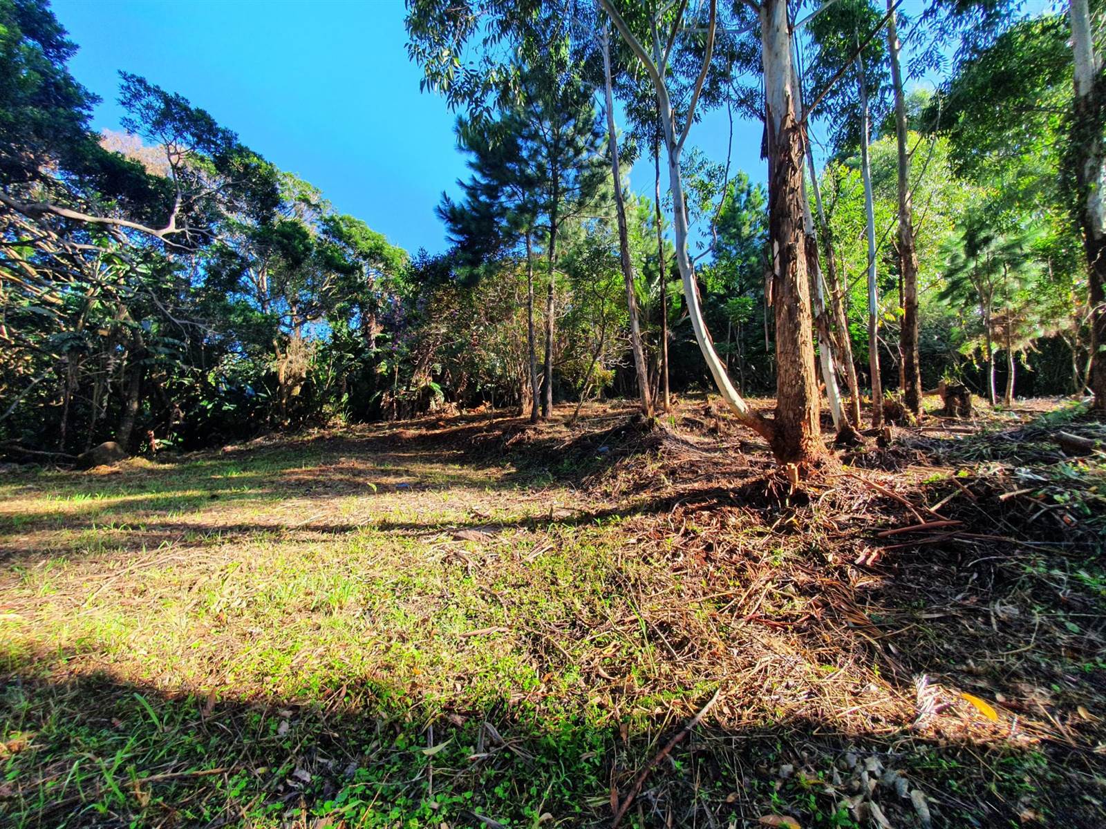 1032 m² Land available in Leisure Bay photo number 2
