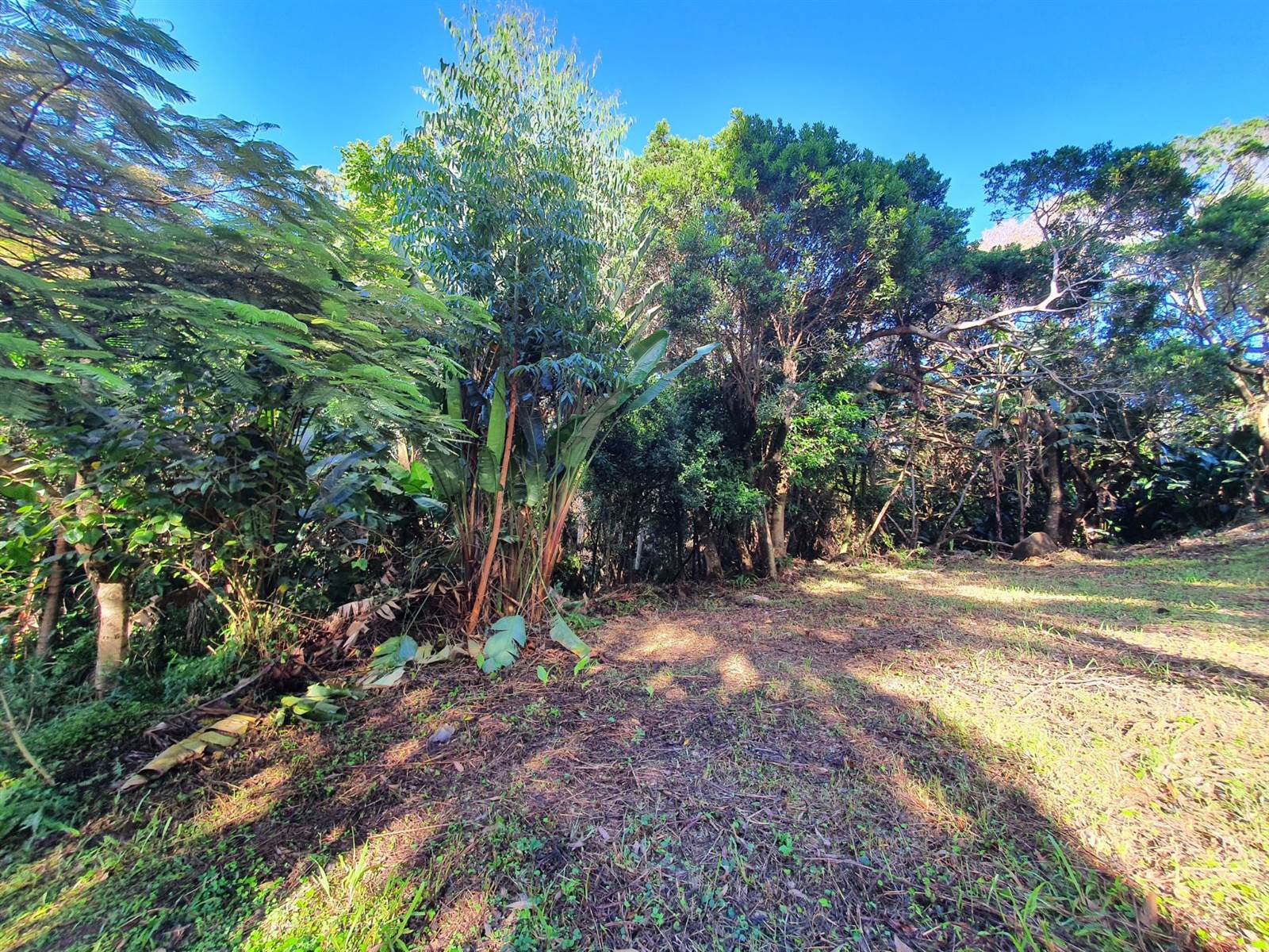 1032 m² Land available in Leisure Bay photo number 3