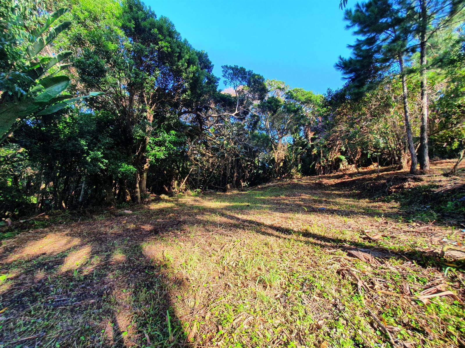 1032 m² Land available in Leisure Bay photo number 4
