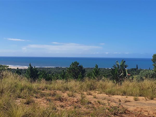 940 m² Land available in Palm Beach