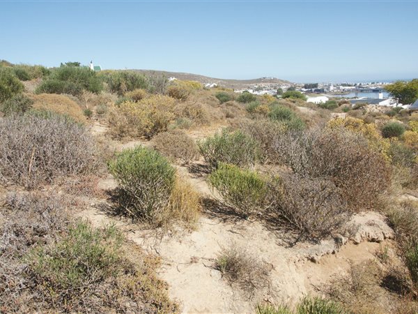 851 m² Land available in Britannica Heights