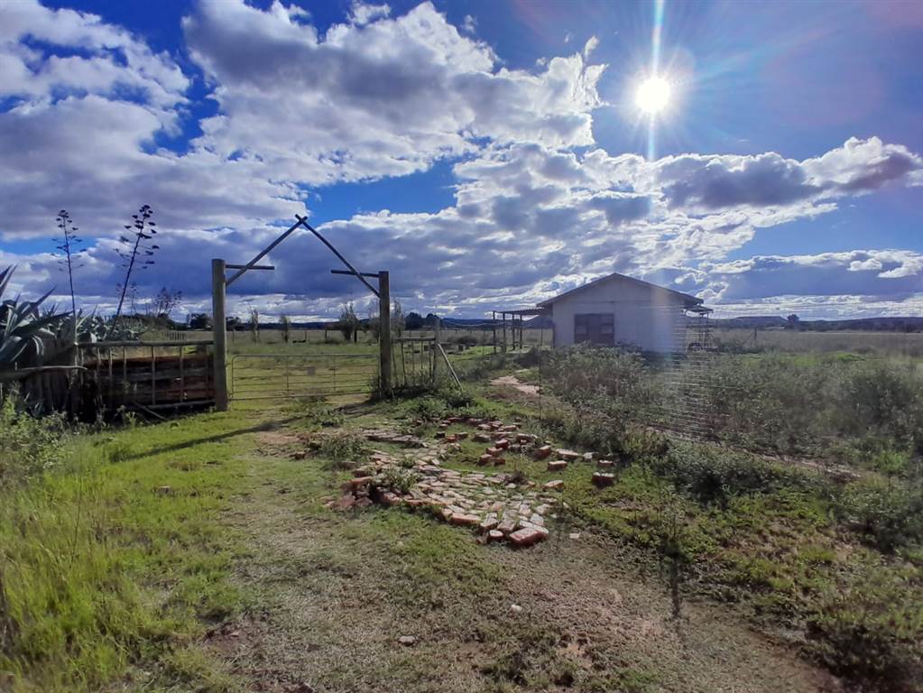 4.2 ha Farm in Bloemfontein Farms photo number 12