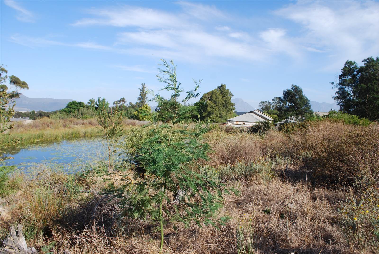 1042 m² Land available in Tulbagh photo number 3
