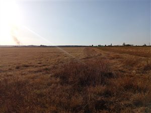 4 ha Land available in Withok Estates