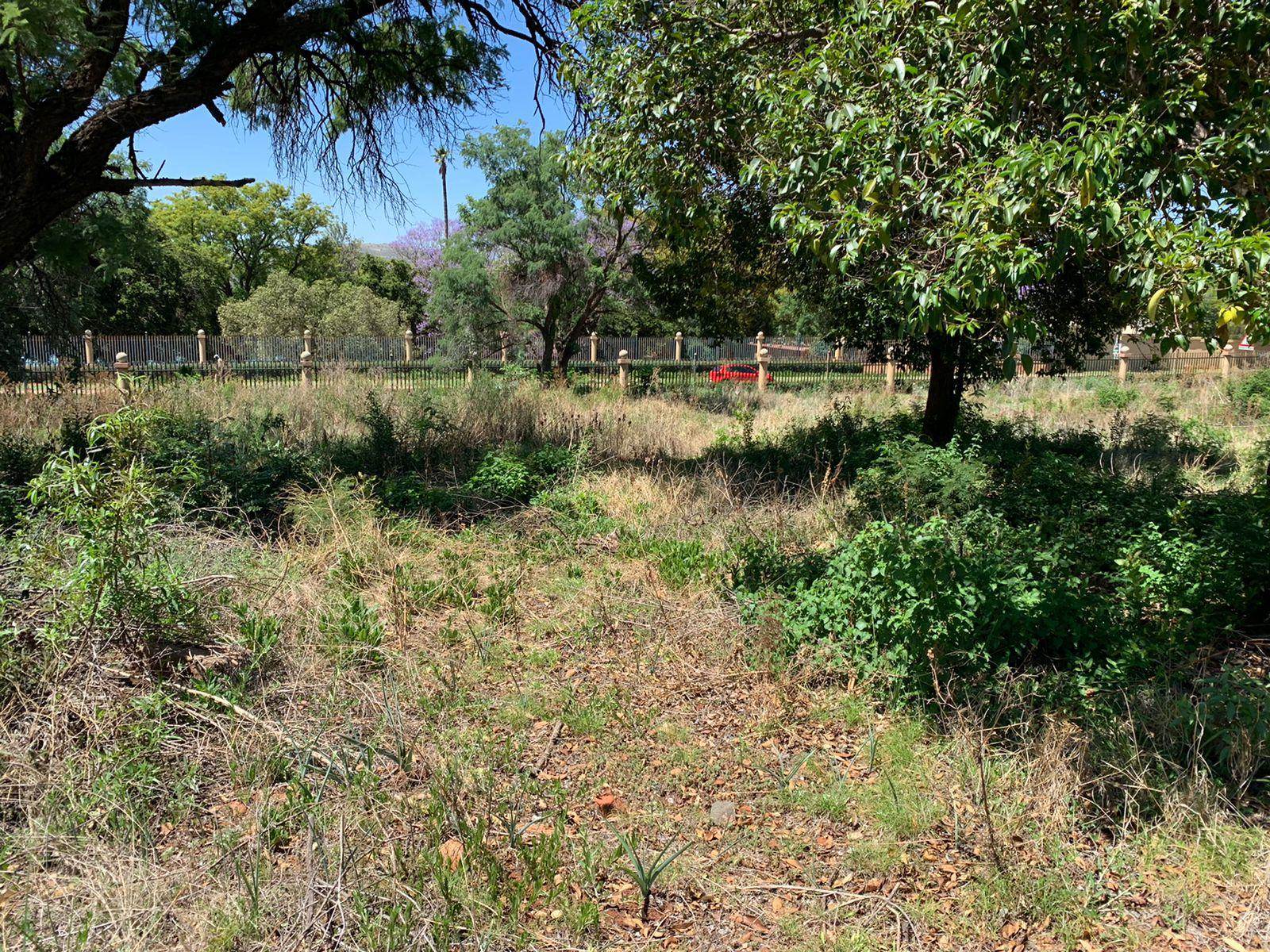 930 m² Land available in Kosmos photo number 3