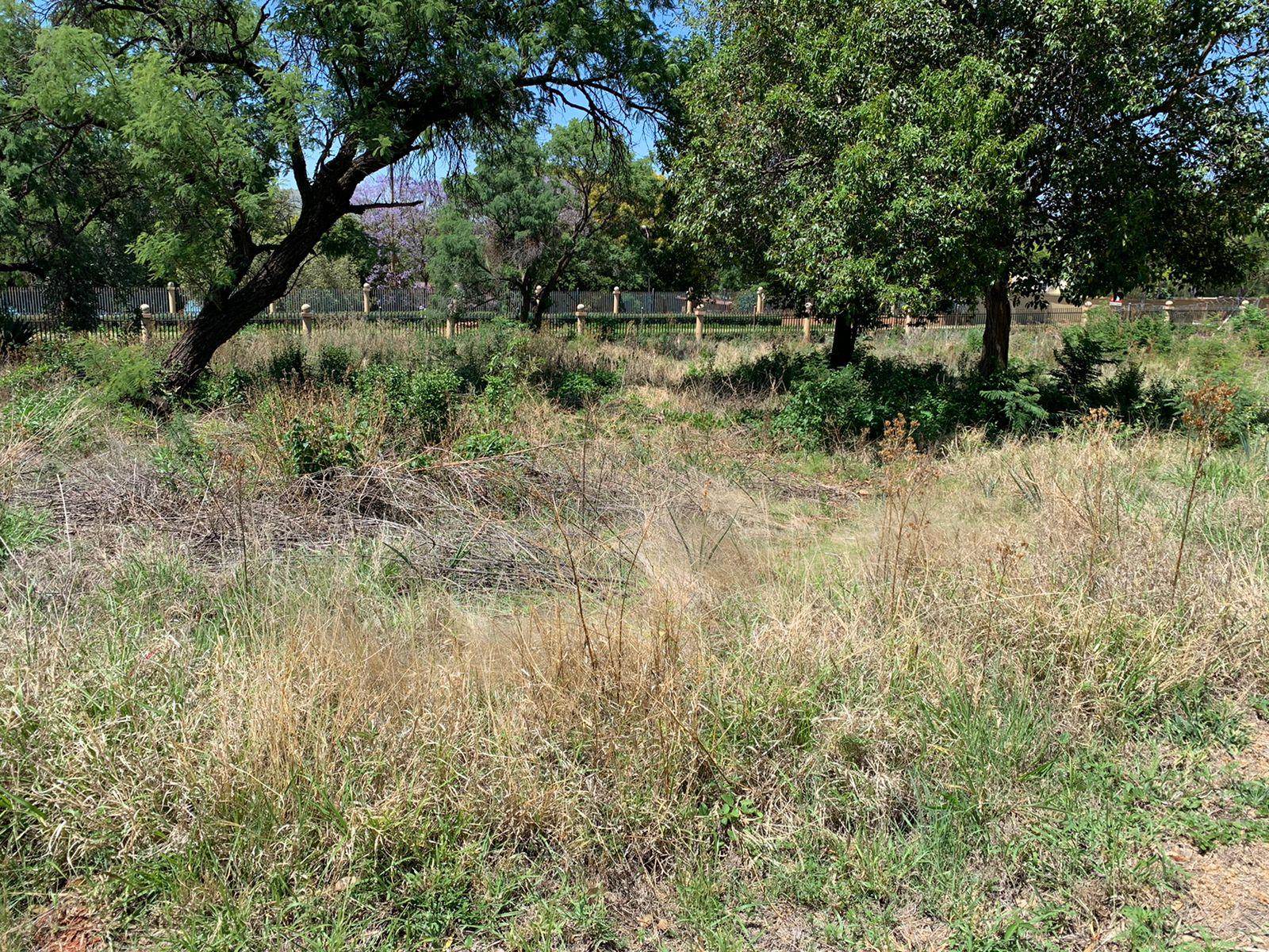 930 m² Land available in Kosmos photo number 4