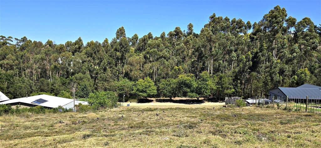 800 m² Land available in Swellendam photo number 2