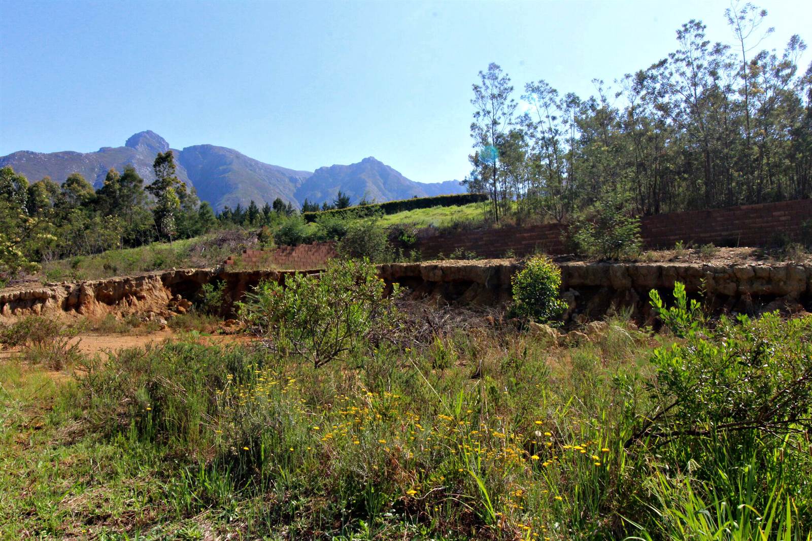 800 m² Land available in Swellendam photo number 7