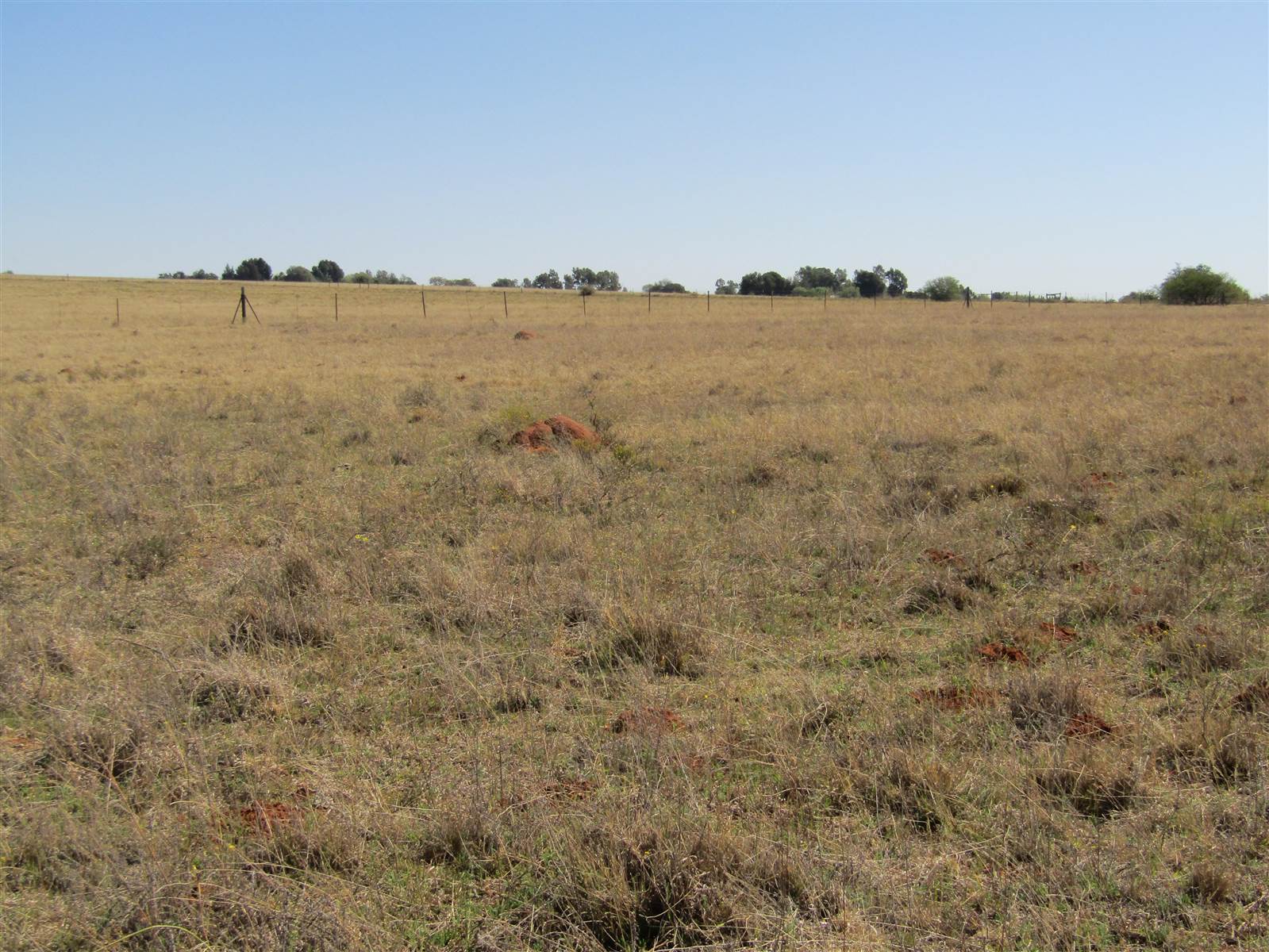 8 ha Land available in Bainsvlei photo number 7