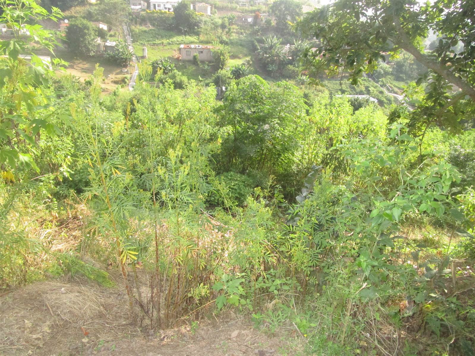 450 m² Land available in Savanna Park photo number 7
