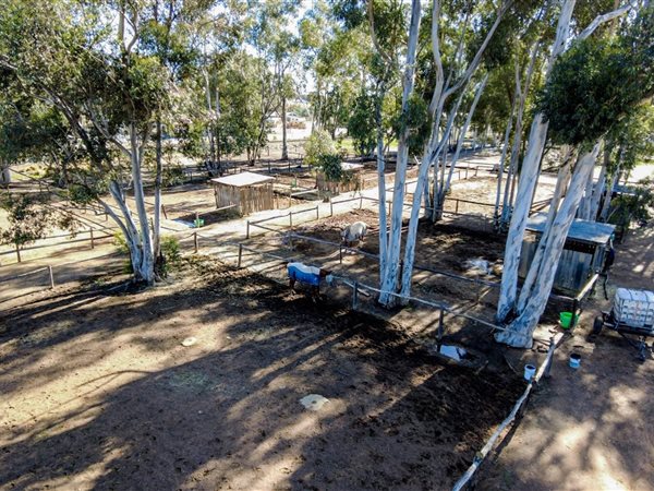 1 ha Smallholding 1 ha Smallholding