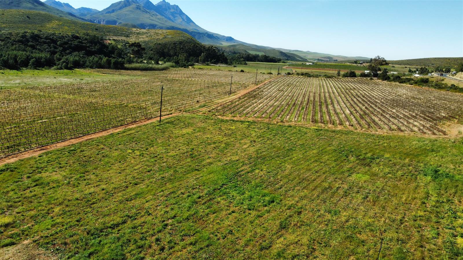 380 ha Farm in Bonnievale photo number 17