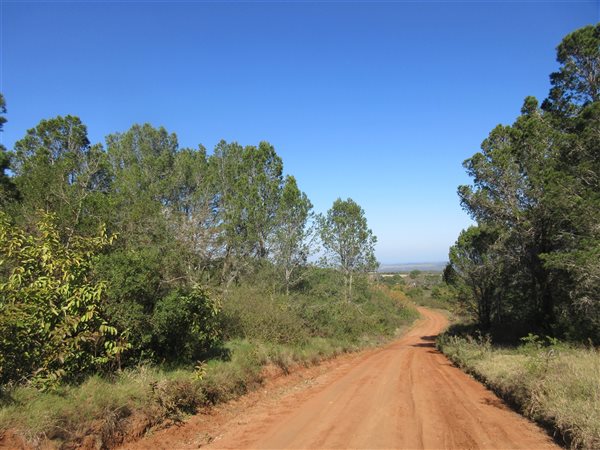2000 m² Land available in Bathurst and Surrounds