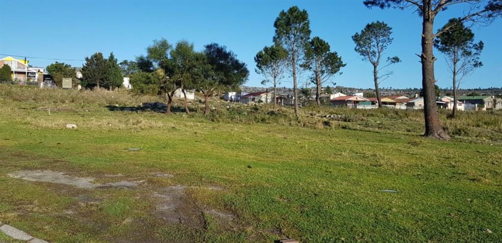 6439 m² Land available in Grabouw photo number 2