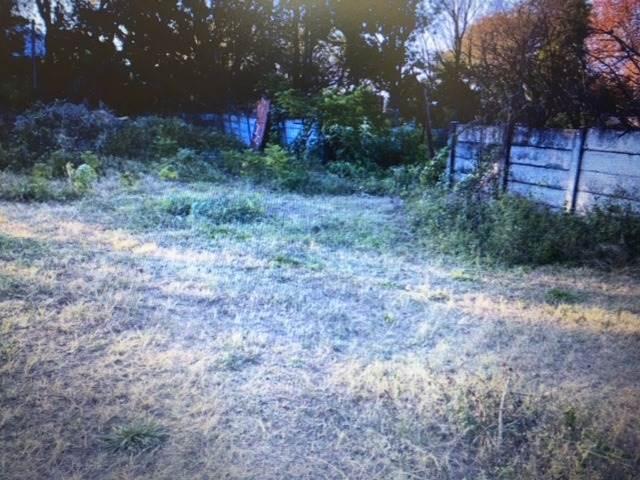 4000 m² Land available in Ferndale photo number 4