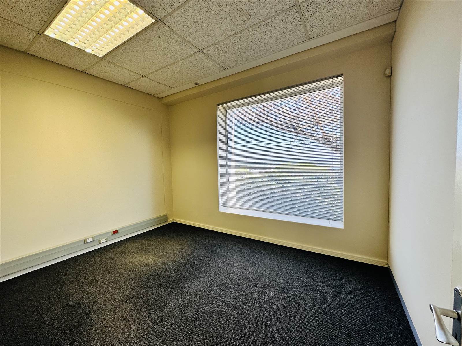 169  m² Commercial space in Somerset Park photo number 10